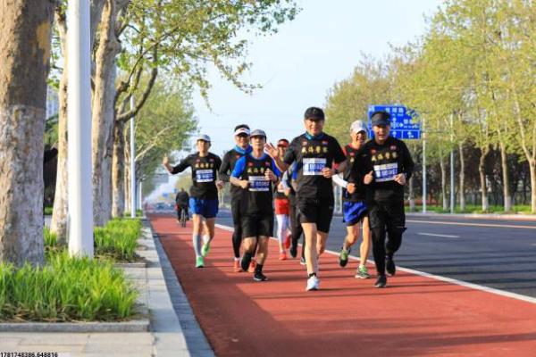 体育培训公司管理模式与运营策略(图1)